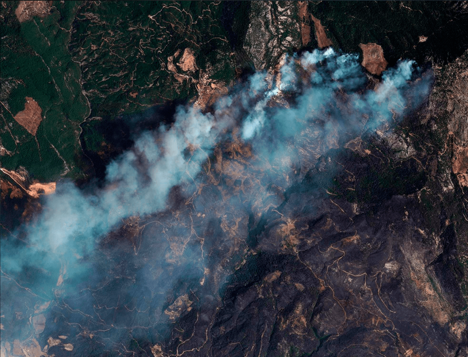 Wildfires as seen through a satellite image